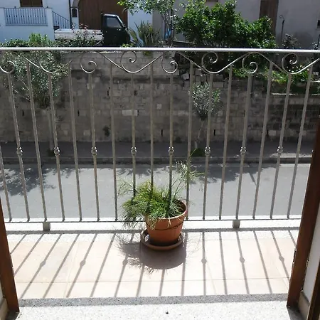 Canne Al Vento *