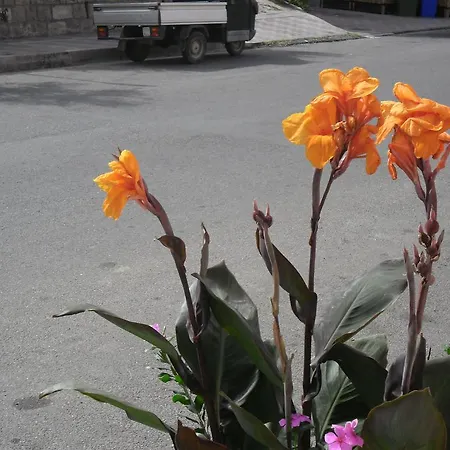 Frühstückspension Canne Al Vento *