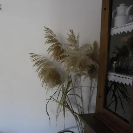 Canne Al Vento * Teulada