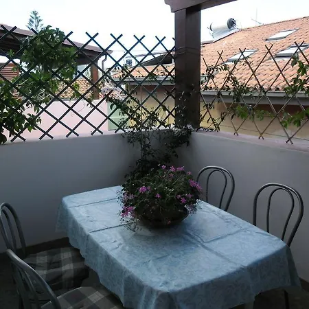 Canne Al Vento