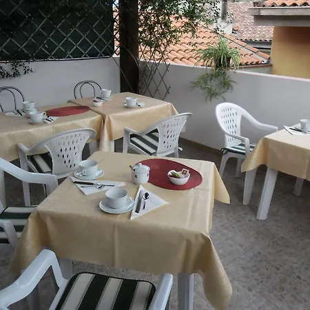 Canne Al Vento