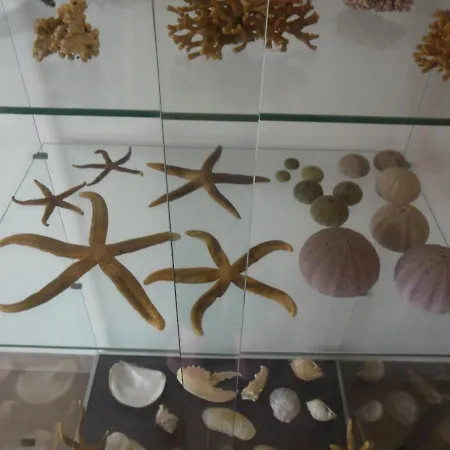 Canne Al Vento Teulada