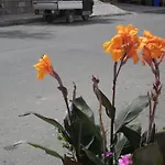 住宿加早餐酒店 Canne Al Vento 3*