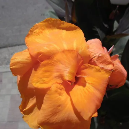Bed and Breakfast Canne Al Vento Teulada